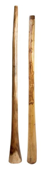 Didgeridoo Proline Euka XL D 165 - 175 cm