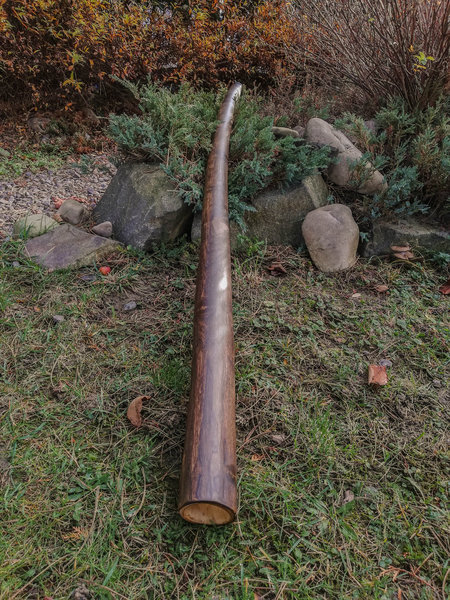 Elderdidgeridoo Note D 1,41 m