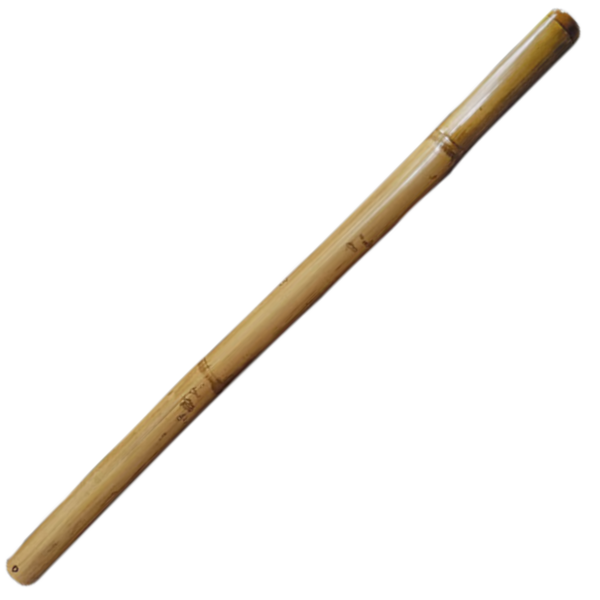 Didgeridoo Bambus D Kunstharz behandelt