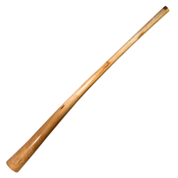 Mahagoni Didgeridoo Profi E