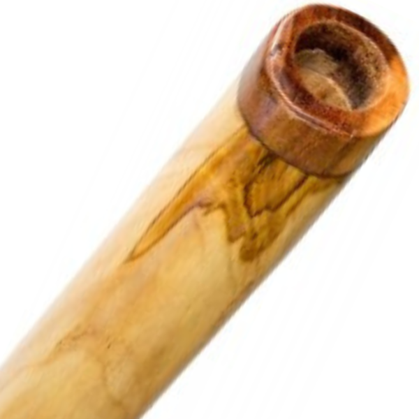 Teak Didgeridoo Profi C